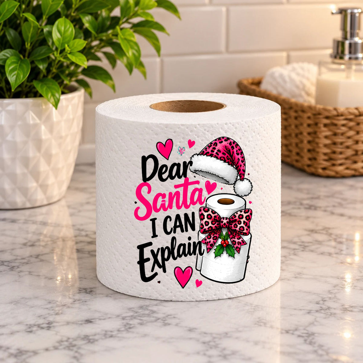 Dear Santa I Can Explain